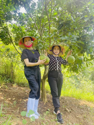 Nữ đại gia quê Thanh Hoá đi rừng đội nón lá nhưng ăn mặc “đắt xắt ra miếng”, bộ nào cũng sang