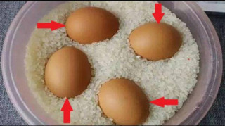 Thấy vợ đặt trứng vào trong thùng gạo cả tháng, chồng tò mò theo dõi thì nhận ra…