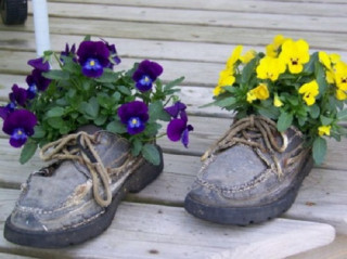 Trồng hoa trong giày dép cũ bỏ đi: Tưởng không hay mà hay không tưởng