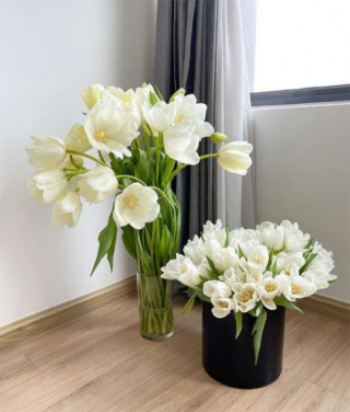 5 loại hoa tuy đẹp nhưng không may mắn, để trong nhà khác gì mời gọi vận xui