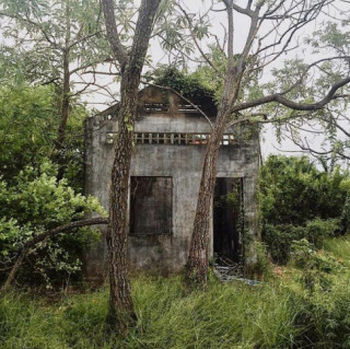 8x Tiền Giang “biến” nhà hoang thành nhà vườn đẹp như cổ tích chỉ với hơn 100 triệu đồng