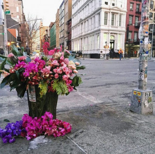 Lạ lùng thùng rác đẹp hơn cả bình hoa trong tiệm giữa đường phố New York