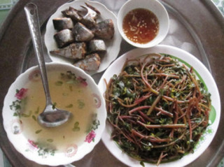Loại rau trường thọ thế giới săn lùng nhưng mọc đầy ở Việt Nam, ai cũng nên ăn một lần