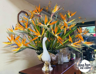 Mẹ Việt biến nhà rực sắc đón ngày 8/3, khoe muôn kiểu cắm hoa đẹp rụng rời