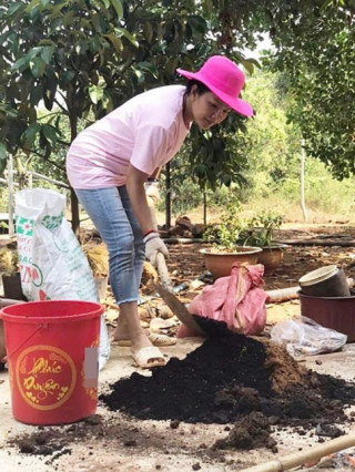 Nhà Celeb: “Nữ hoàng cảnh nóng” Kiều Trinh về Bình Phước làm vườn, thu hoạch nấm hiếm 2 triệu/kg