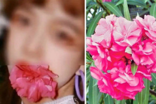 Nữ blogger suýt bỏ mạng vì ngậm hoa “sống ảo”, những loài hoa có độc đẹp mấy cũng đừng chạm