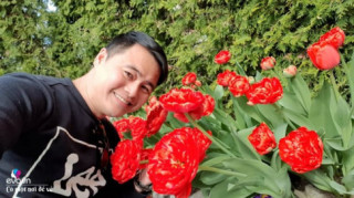 Ông bố Sài Gòn trồng hoa tulip đẹp rực rỡ, vợ ghen “đỏ mắt” vì mê hoa hơn mê vợ