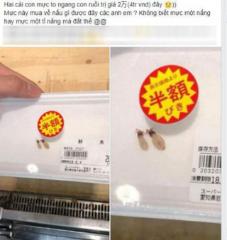 Sự thật món mực “nhìn mãi... không thấy” giá 4 triệu đồng ở siêu thị Nhật xôn xao MXH Việt
