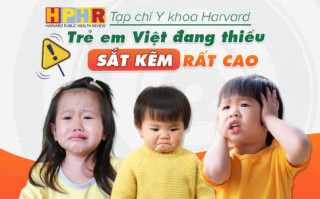 Trẻ em Việt thiếu sắt kẽm cao, Tạp chí Y Khoa Harvard lưu ý cha mẹ những điều này