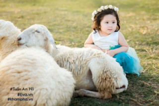 Bé gái gây sốt trong bộ ảnh “Làm bạn với cừu” ngoài đời còn xinh xắn, dễ thương hơn nhiều