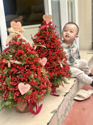 Độc lạ 9X Hải Phòng “hô biến” cây thông nở hoa đủ màu, cắm hàng trăm bình hoa thông dịp Giáng Sinh
