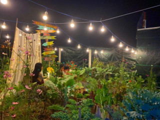 Mẹ Sài Gòn “đóng giường” trồng rau, được khu vườn cầu vồng 180m2 thứ gì cũng có