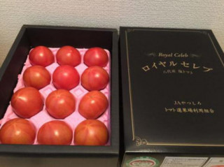 Cà chua Hoàng gia Nhật 1,6 triệu/kg nhà giàu Việt vẫn vét túi mua, khi ăn thử thì ngỡ ngàng