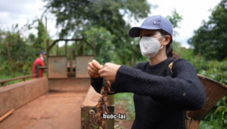 Hoa hậu chân chất nhất Việt Nam bắt côn trùng về làm món đặc sản