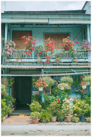 Có một ngôi nhà hoa lá quá bình yên ở An Giang khiến ai cũng mơ “Nhà tôi ở đó”