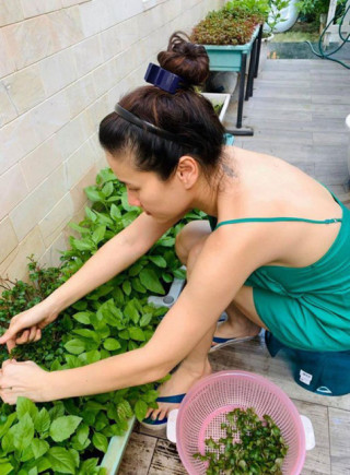 Mẹ đơn thân Thân Thúy Hà tự trồng rau trong biệt thự, con trai 10 tuổi đã biết làm vườn