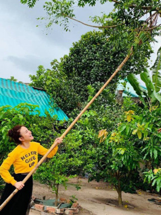 Nhà Celeb: Vy Oanh khoe khu vườn ngập cây trong biệt thự 1400m2, trái nhiều ăn không kịp
