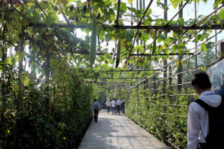 “Choáng” với khu vườn trị giá 40 tỷ đồng của NTK Sỹ Hoàng