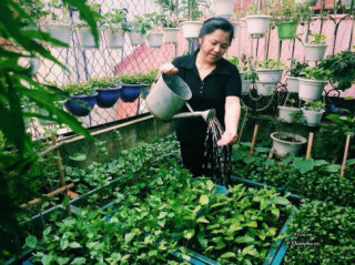Cô giáo Hà Nội mách cách làm “nước thần” diệt sâu bọ, đuổi muỗi, lau nhà,... cực tốt
