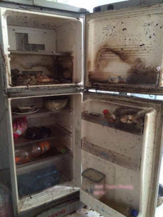Dân mạng “phát hoảng” với chiếc tủ lạnh thối rữa vì bị bỏ quên trước Tết