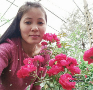 Vườn hoa hồng đầy ký ức của mẹ Bắc Giang bị chê “dở hơi” vì trồng hoa