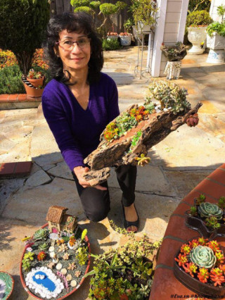 Vườn hoa sen đá hàng nghìn cây đáng ngưỡng mộ của mẹ Việt sau 7 năm trồng hoa xứ người