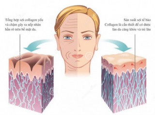 Chỉ cần bổ sung đúng cách, collagen sẽ trở thành chìa khóa cho tuổi thanh xuân