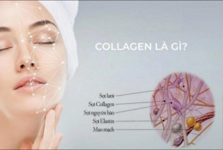 Sai lầm ăn da heo để bổ sung collagen cho da căng mướt, đâu mới là sự lựa chọn của phụ nữ?