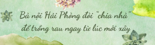 Bà nội Hải Phòng làm vườn trên sân thượng 60m2, vừa trồng thủy canh vừa trồng đất, chia sẻ bí quyết có rau ăn quanh năm