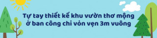 Cô gái Sài Gòn tự tay cải tạo căn chung cư đẹp như cổ tích, biến ban công 3m vuông thành khu vườn rất thơ