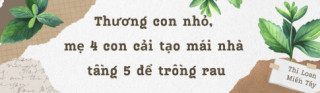 Mẹ đảm 4 con cải tạo mái nhà tầng 5 trồng rau: Cà chua sai trĩu cành, các loại dưa treo lúc lỉu cực thích mắt