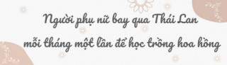 Mẹ Việt ở Úc phủ kín hoa trong mảnh vườn 500m2: 100 gốc hồng rực rỡ sắc hương, hoa ly thơm cao tới 2m