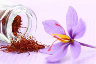 Đời không như mơ, tưởng nhụy hoa nghệ tây là báu vật làm đẹp, ai dè tiền mất tật mang…