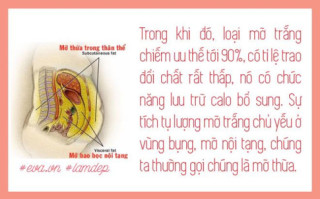 Nọng cằm, mỡ bắp tay, mỡ bụng tan biến sau vài phút nhờ tiêm tan mỡ, thực hư ra sao?