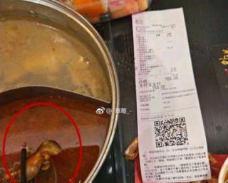 Bà bầu phát hiện chuột trong nồi lẩu, chủ quán “hồn nhiên” hứa bồi thường tiền... phá thai