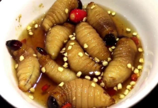 “Hoảng hồn” với những đặc sản sâu bọ sống bò nhung nhúc từ 3 miền
