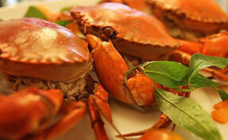 Khách sành ăn “giật mình” với bánh canh cua vỉa hè mà có giá 300.000 đồng/bát