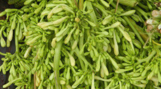 Những món rau rừng “đỉnh nhất’, ăn là nghiện của vùng Tây Bắc