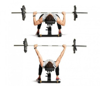 Tập Gym cho nam nữ với lịch tập và chế độ ăn uống chuẩn nhất tại nhà