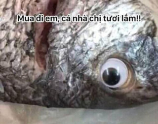 Tìm ra danh tính bà bán hàng có màn lừa bán cá ươn đỉnh cao khiến dân mạng “hú hồn”