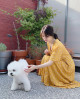 “Giàu nứt đố đổ vách”, Song Hye Kyo 5 năm vẫn mê váy hoa giá rẻ, giấu bụng, che bắp tay tài tình