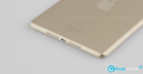 iPad mini 2 lộ thêm màu máy mới