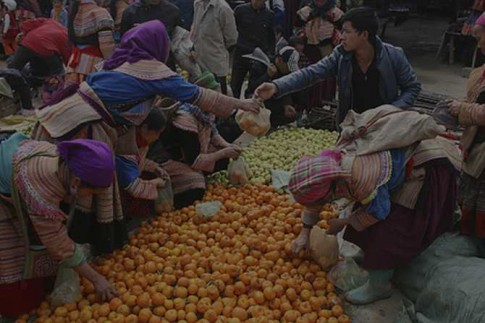 Lên Bắc Hà để được đi “chợ lồng trong chợ”