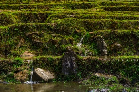 Mùa nước đổ trong lòng thung lũng Tả Van
