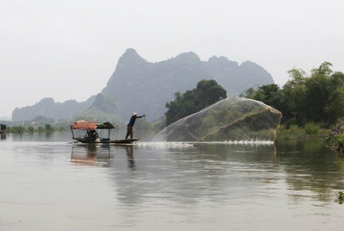 Phượng hoàng đất ở Tràng An