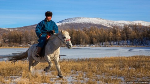 Thảo nguyên tuyết trắng ở Mông Cổ