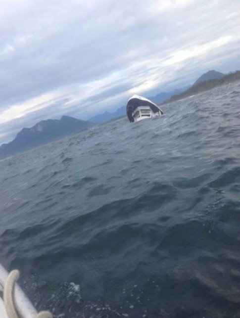 5 du khách thiệt mạng khi đi ngắm cá voi