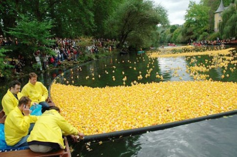 Cuộc đua vịt cao su Tubingen 2012 