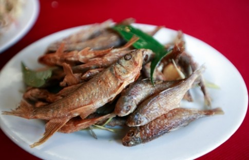 Đặc sản cá suối dân dã ở Mộc Châu