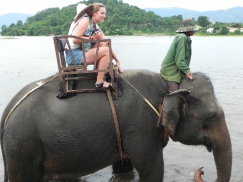 Đắk Lắk báo động nguy cơ hết voi trong 20 năm tới